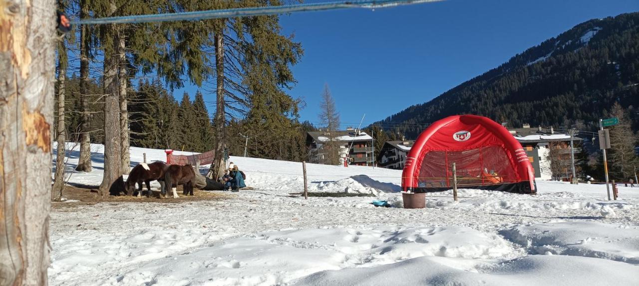 Bellevue résidence- Studio piscine, Porte du soleil Morgins Esterno foto